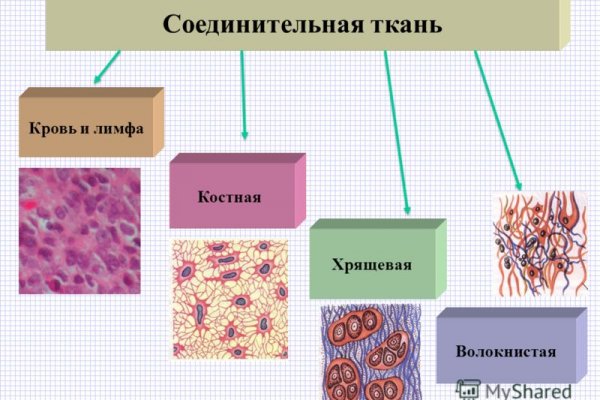 Кракен 18 вход